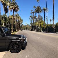 Отзыв от Григорий - виза ДТВ